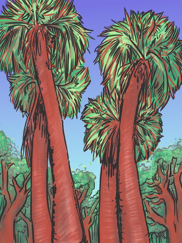 digital study from a photograph of 4 palm trees in Florida drawn in FireAlpaca using a limited palette